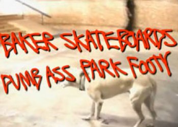 Dumb Ass Park Footy: Andrew Reynolds